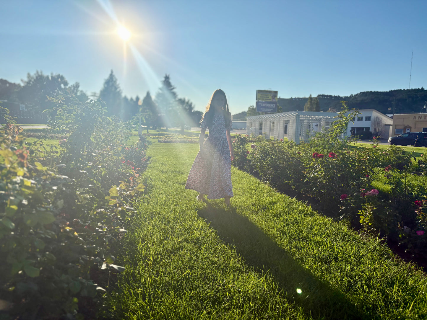 Women’s Shower of Roses Dress (Nursing and Non-Nursing Options)