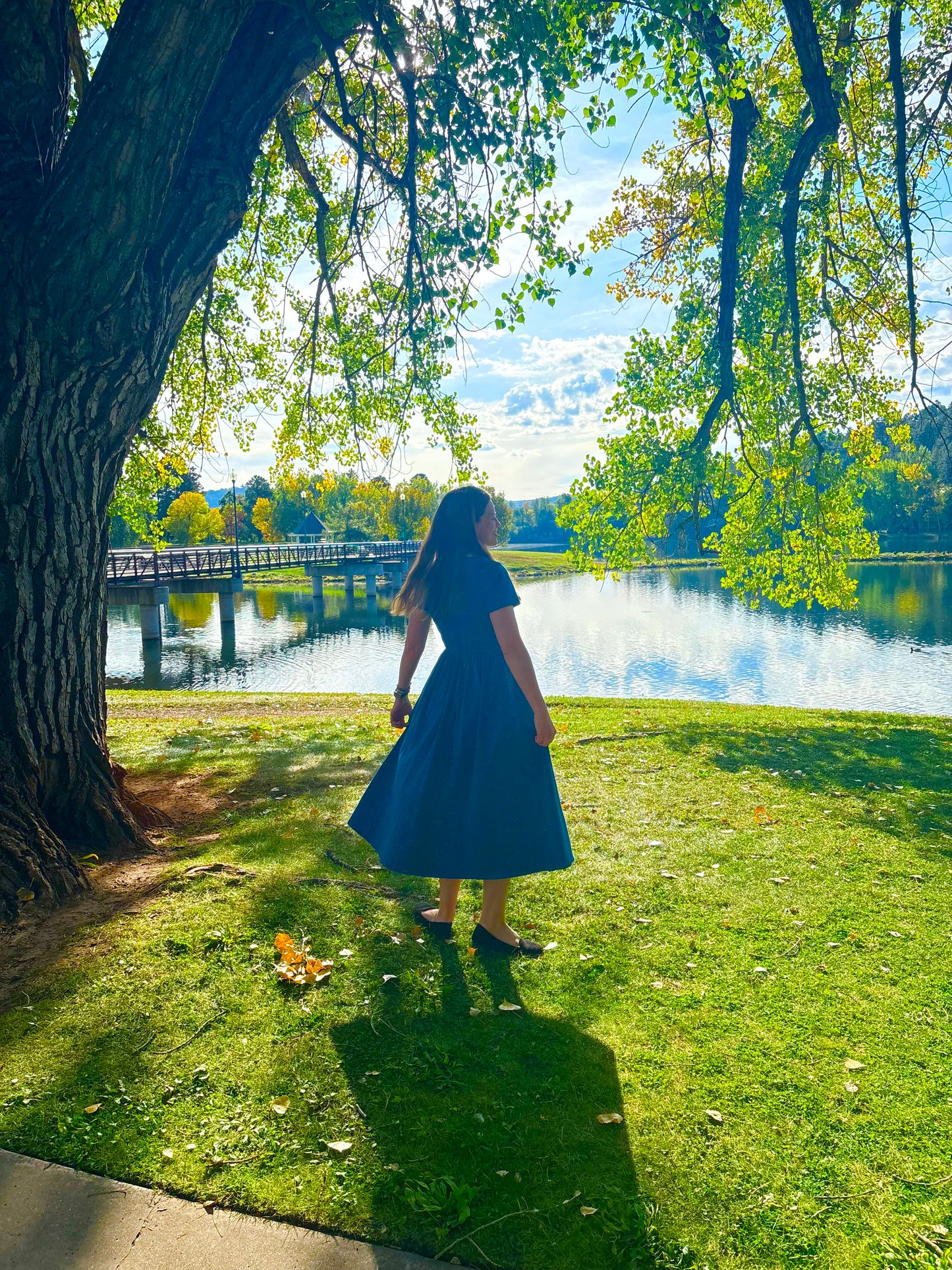 Women's Luminosa Dress (Nursing and Non-Nursing Options)