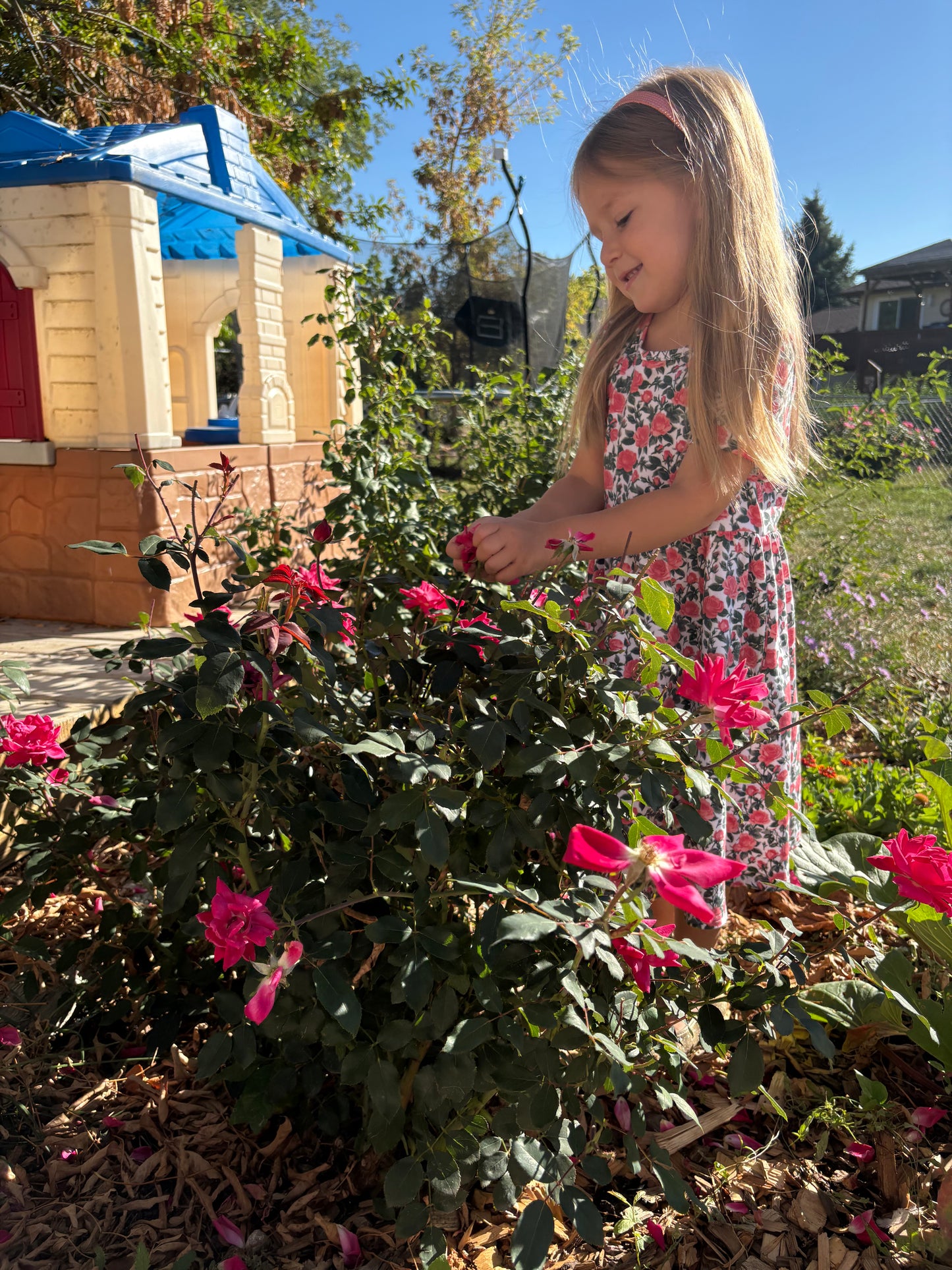 Little Girls Shower of Roses Dress